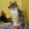 Отзыв от Нинель Чижова